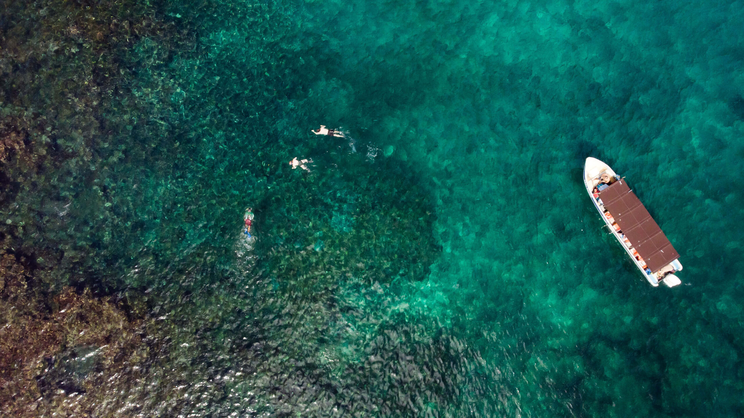 Snorkeling avec Isla Palenque Resort Panama